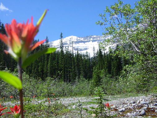 Lake Louise2