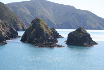 Bij het binnenvaren van de Marlborough Sounds