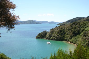 Vanaf de Queen Charllotte route uitzicht op de Marlborough sounds