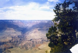 The Grand Canyons