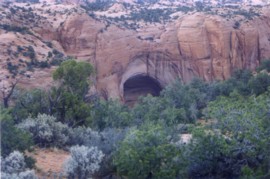 Navajo National Monument