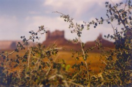 Monument Valley