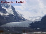 Columbian_Icefield.jpg